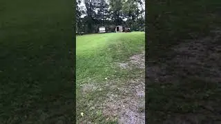 Ego 21 inch push mower. Beast