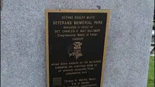 I STOPPED THIEVES FROM STEALING A PRICELESS PLAQUE FROM THE WORLD WAR II MEMORIAL AT THE FENS PARK!!