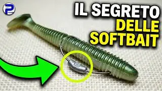 Jig Head o Amo Piombato? La Verit&agrave; Sulle Softbait (Che Nessuno Ti Dice!)