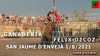 SAN JAUME D'ENVEJA 1/8/2021GANADERIA FELIX OZCOZ