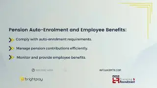 Mastering Payroll Compliance: Tips for Using BrightPay Effectively