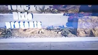 Raid Sui OCE (Read Desc)