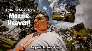 Flyin' In Mozzie Heaven With My 2 Buddies . Color Graded With Dehancer Pro