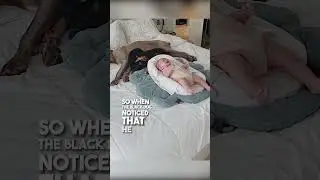 Эти собаки присматривают за своим малышом ❤️
