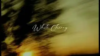 Sidheartt - White Cherry ft @gesturegtk (Official Lyric Video)