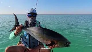 Daiwa Certate 5000 LT