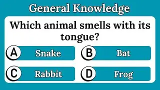 Animals Gk questions  | Trivia questions and answers | Ultimate general knowledge quiz