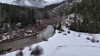The beautiful PNW | winter wonderland | peaceful forest 