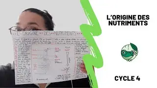 L'origine des nutriments - 3&egrave;me - Madame SVT