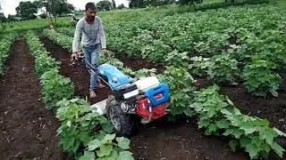 bcs 740
