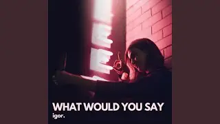 What Would You Say