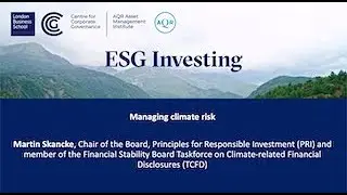 ESG Investing Session Three - Stephen Schaefer and Martin Skancke