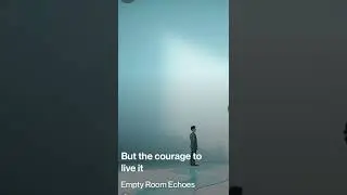 Empty room echoes 