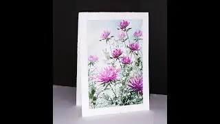 Fleurs de trèfles
