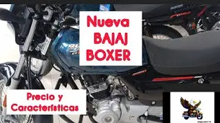 BOXER CT-100 ES 2026