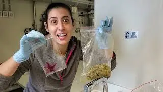 Life on the Antarctic Peninsula: Jessica explains her microbiology team's research