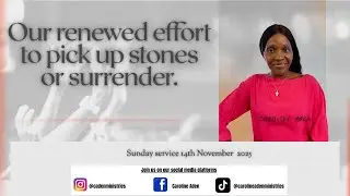 Our renewed effort to pick up stones or surrender || John 10:31-41