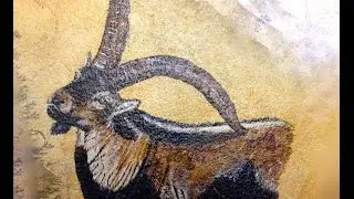 HUNTING BECEITE IBEX IN SPAIN