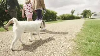 Dogs Love Holidays @ Hawwood Farm Caravans and Camping