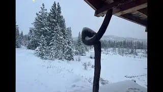 Snowed in!  Live from the cabin off grid