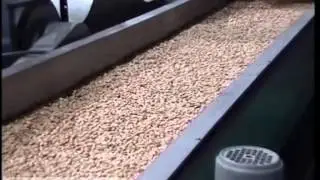 Continuous Frying System of dry nuts - Lineas de frito en continuo de frutos secos