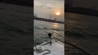 Sunset,water,silence 🦢#boatride #sunset #calm #nature #peace #youtubeshorts