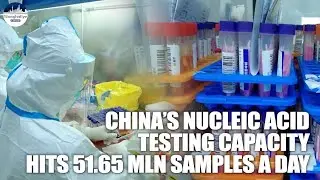 China's nucleic acid testing capacity reaches 51 million per day