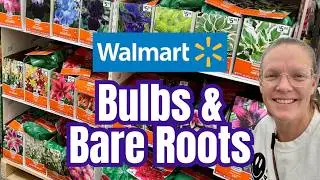 🌷🛒 Луковицы и весенние саженцы в Walmart | Большой выбор, доступные цены