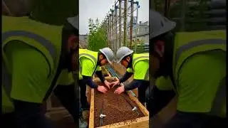 Dead Rooftop &rarr; Edible Food Forest 🌱 | Vertical Farm Timelapse #timelapse #koi #landscape