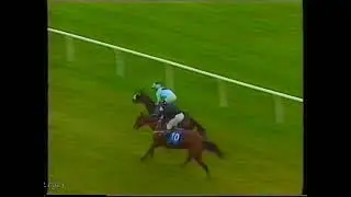 1989 Irish St Leger Petite Ile