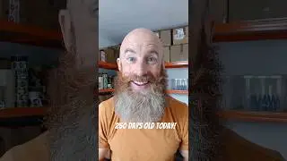 What a 250 DAY OLD BEARD looks like! #beardcare #beardtips #yeard #beardroutine