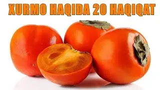 Хурмо Хакида 20 Хакикат !!!