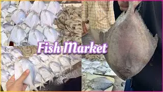 Mumbra Fish 🐟 Friday Market cheapest price 😱 amrut nagar market tour #vlog #viralvideos #trending
