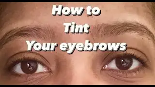 How to tint/dye your eyebrows at home || RefectoCil