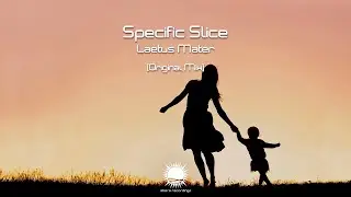 Specific Slice - Laetus Mater