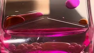 Liquid Motion Bubble Timer Free Clip