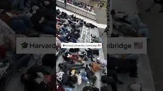 Harvard University Pro Palestine Protest #collage #university #harvarduniversity
