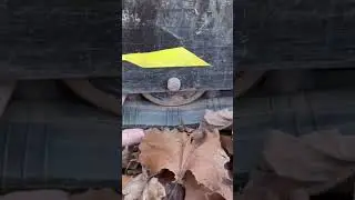 Chinese mini Excavator track Issue #excavator #automobile #diy