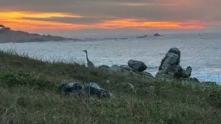 May every sunset bring you peace 🙏💟☮️ - Fix / Jean - Benoit Dunckel