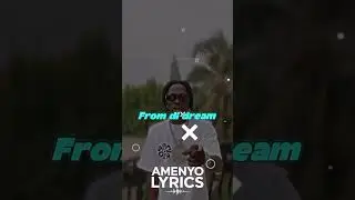 Born Fi Par by Shatta wale lyrics #viralvideo #newsong #newsong #shortlyricsvideo #yetbitubeየተንቢ