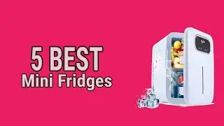 5 Best Mini Fridges 2021