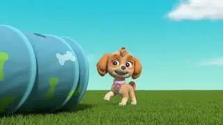 Skye and Rory Playing The Obstacle Course - PAW Patrol