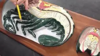Crayfish model(1)
