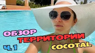 COCOTAL Пунта-Кана Доминикана | Главный бассейн | Минимаркет. Засняла колибри