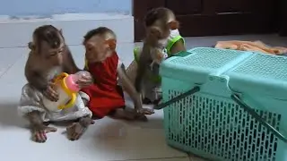 Ploy Learning About Brother How Can Take Milk