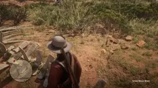 Red Dead Redemption 2 sperm whale bones in desert? #Reddeadredemption #Rdr2