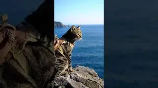 AI Paws in Kochi &ndash; Cape Ashizuri | Cat Walk to the Lighthouse and Clifftop Views #shorts