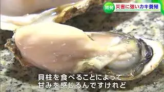 「海に仕事をさせて養殖ができる」新たな技術の導入でカキ養殖の可能性拡大を【岡山・笠岡市】