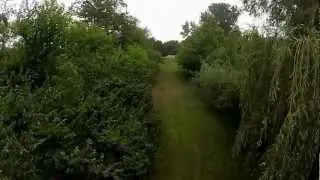 R/C Aerial View of The Scary Woods!