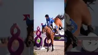 #Liebes🫶🏼#horses#song#sturtz#tunier#pferde#leben#equestrian#fypppppシ